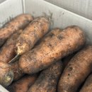 시흥상동로 이미지