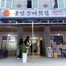 [강원도 정선] 군언송어횟집 - 인생 첫 송어회 후기