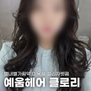 비달헤어클럽 | 별내별가람 미용실 예움헤어 별가람역점, 클로리실장님 엘리자벳펌 후기