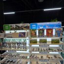 벅스패밀리 이미지