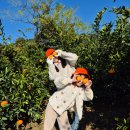 경미농장 이미지