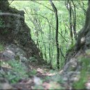 양지좌사 이미지