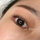 눈썹정원사 이미지