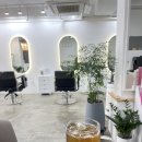 살롱드루체 네이버블로그