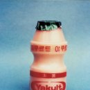 야쿠르트 서울신문