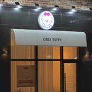 퍼피온리 이미지