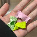 강냥이 | [대전 용두동] 바이네롤리속눈썹펌&amp;속눈썹연장 ㅡ 전문가의 손길이 이런 거였어요?