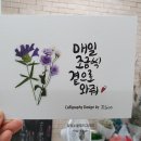 달빛노을캘리그라피디자인
