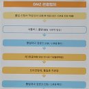 DMZ 체험 투어 임진각 제3땅굴 및 통일촌 방문 후기