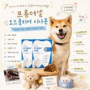 오드셀 | 강아지 덴탈껌 프롬더셀 오드 클리어 시나몬 입냄새 제거 탁월해요