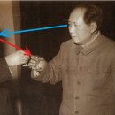 선진코리안 이미지