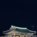 로라커피 - 경주시 동문로 28 | 경주 읍성 근처 카페 겸 펍 로라커피 내돈내산 솔직후기✨- 반려견 동반 가능(반려견 호텔 추천)