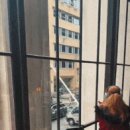Filming 이미지