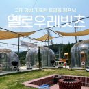 옐로우레빗츠 이미지