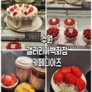 디아즈 | 【수원】 제철생과일 케이크 맛집 , 수원갤러리아백화점 카페디아즈 후기