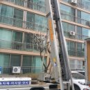 서영이네여주