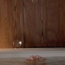 호텔뮤제오(HOTEL MUSEO) 이미지