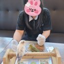 앵무새리프패럿 - 화성시 상신하길로328번길 26 | 앵무새리프패럿