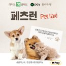 대전펫택시 이미지