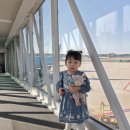 게임투존 | [아기랑 마카오여행] 아기랑 대한항공 비행기 탑승 꿀팁, 유모차 도어투도어, 인천공항 키즈존 수유실