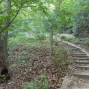 팔용초등학교 이미지