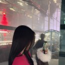 한남동 디자이너거리 | 한남동미용실 리느 한남 톤다운 염색 후기