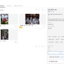 업로드 이미지