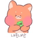 야옹아 멍멍해봐 강아지고양이 청주동남점 네이버블로그