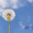 성광태양광발전소 이미지