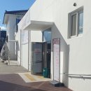 무궁화커피피었습니다 | 홍천 가볼만한곳 추천! 홍천 미술관-무궁화 꽃이 다시 피었습니다 전시 감상 후기