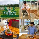 아이스토리 안경 태백점 | 강원도 태백 가볼만한곳 6 아이와 태백 정선 여행 감탄로드