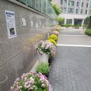 성복역탑공인중개사사무소 이미지