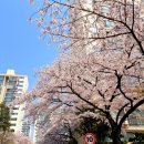 명일동 삼익그린2차 상가 에덴김밥 봄나들이 필수품 (폐업)
