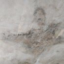 한솔지업사 - 논산시 해월로211번길 16 | 한솔지업사