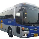 새천년여행사 네이버블로그