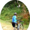 상봉MTB 이미지