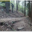 숲속나들이길 이미지