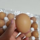 하민농장 이미지