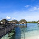 J.S 당구클럽 이미지