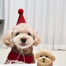 너를닮은케이크 이미지