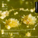 테드다이브 이미지