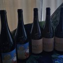 (유)내추럴환경 | 내가 마신 내추럴와인 (약간의 컨벤셔널)