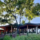 오동민원센터 | 오동숲속도서관 주차 방문 후기 서울 예쁜 도서관 추천