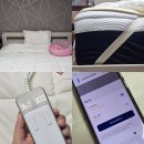 651 | 나비엔 숙면매트 EME651P 카본 한달사용후기