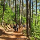 백운산자연휴양림 이미지