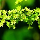 성모초교 이미지