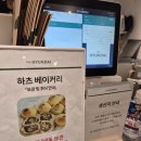 하츠(HAZ) 이미지