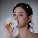 (주)제이와이 이미지