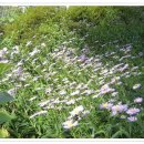 김광수농장 이미지