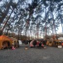 춘장대나드리캠핑장 이미지